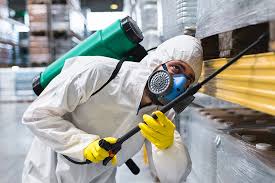 Best Fumigation Services  in Reed Creek, GA